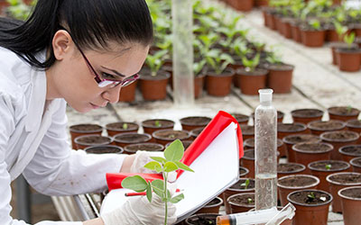 新葡京博彩 student performing science experiments